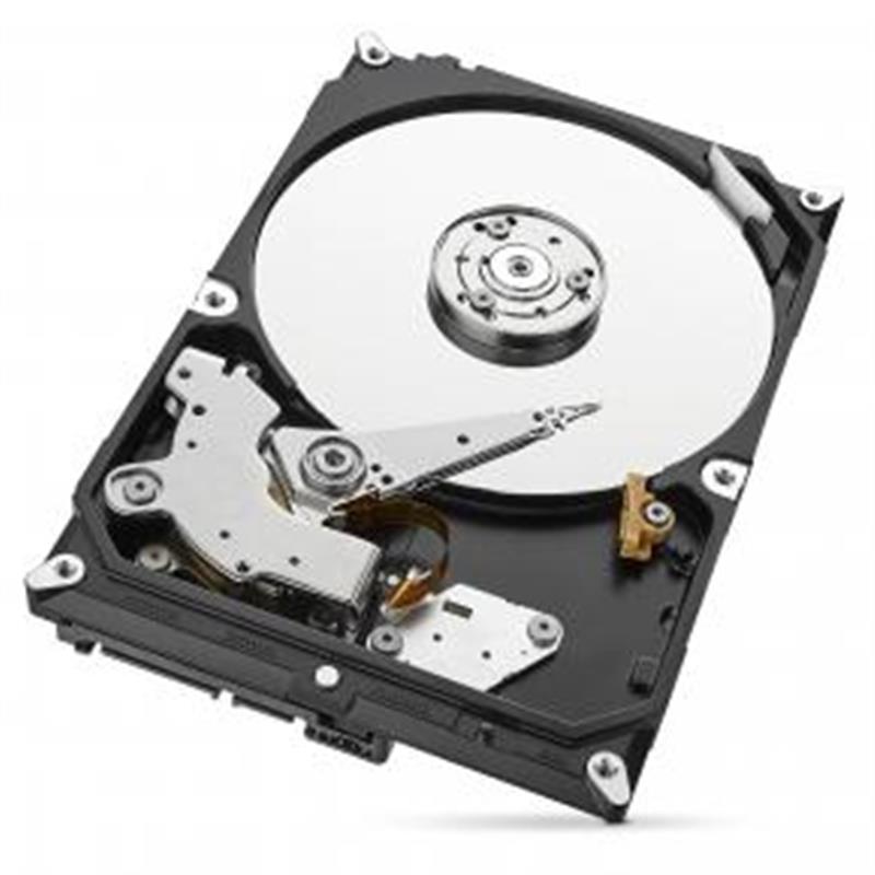 Seagate SkyHawk ST1000VX005 interne harde schijf 3.5"" 1 TB SATA III